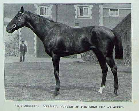 Merman - The horse that Merman house is named after