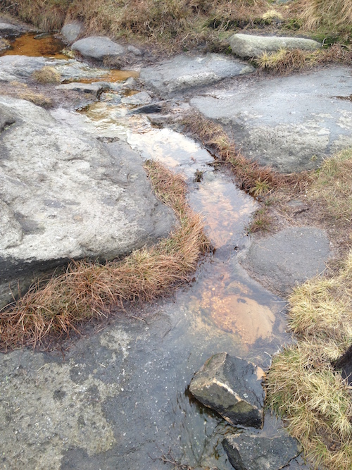 brook